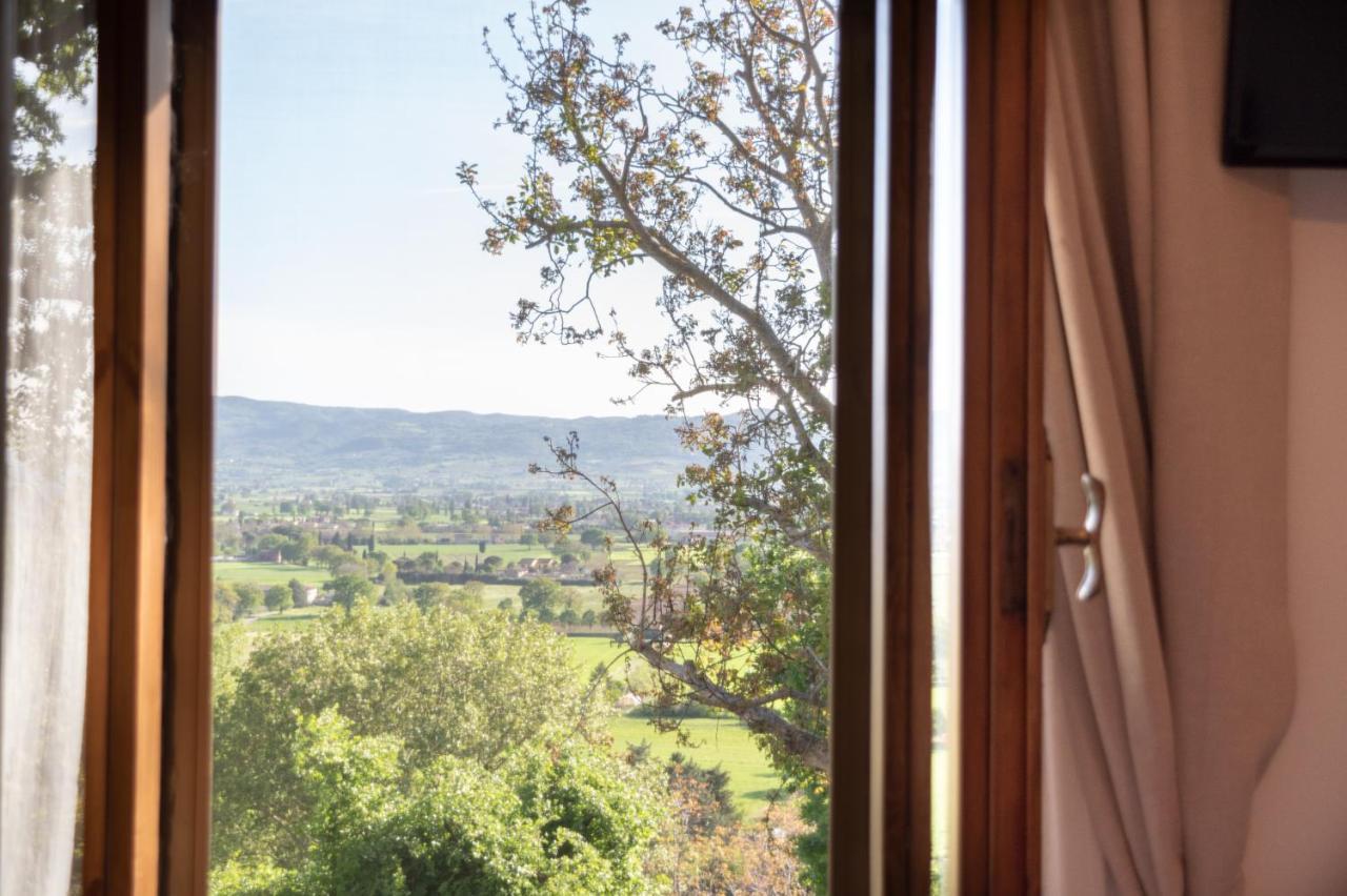 B&B Cantico Delle Creature Assisi Eksteriør billede