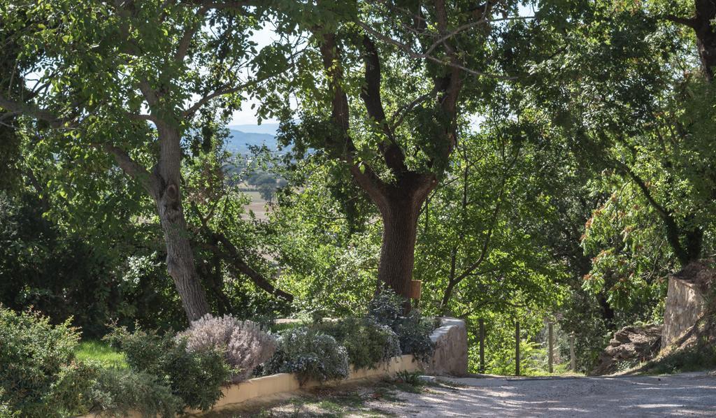 B&B Cantico Delle Creature Assisi Eksteriør billede