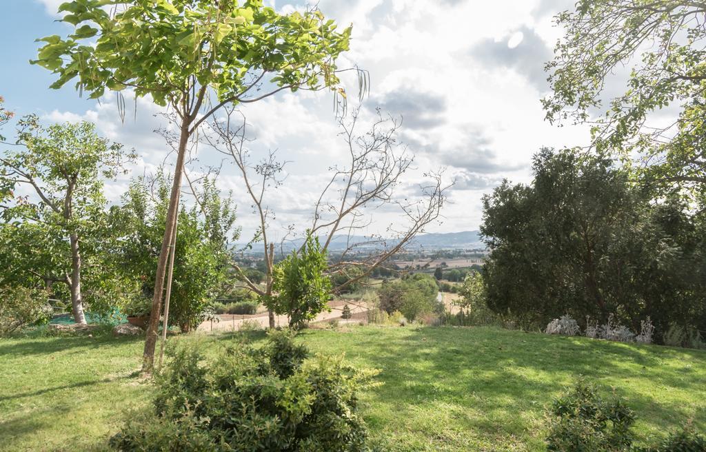 B&B Cantico Delle Creature Assisi Eksteriør billede