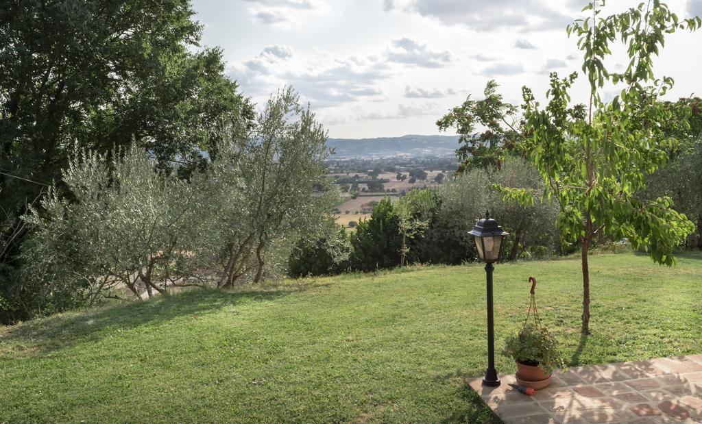 B&B Cantico Delle Creature Assisi Eksteriør billede