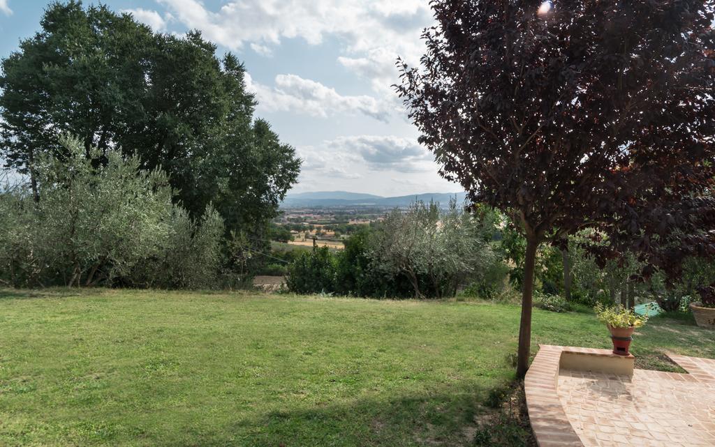 B&B Cantico Delle Creature Assisi Eksteriør billede