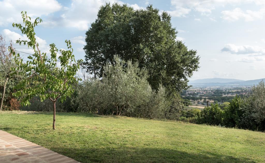 B&B Cantico Delle Creature Assisi Eksteriør billede