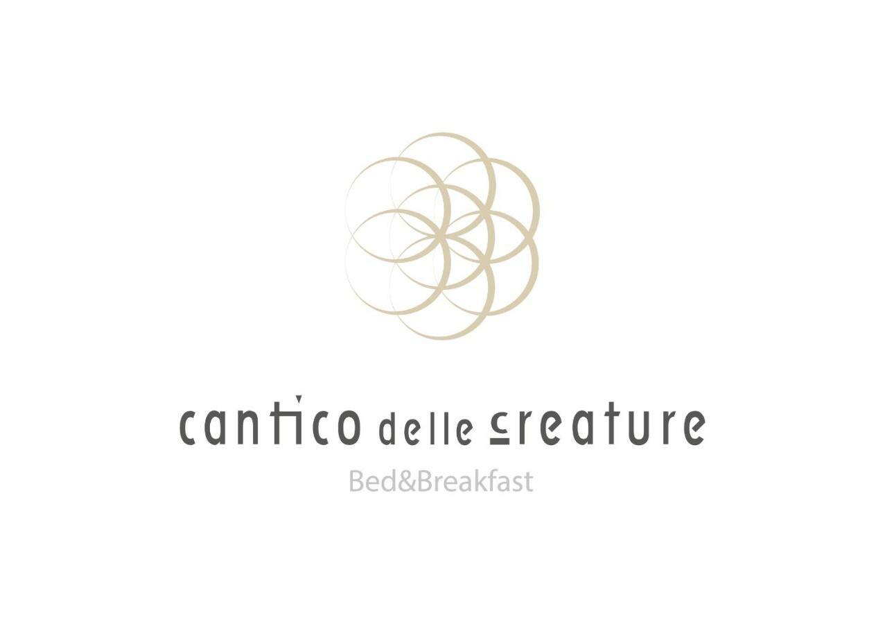 B&B Cantico Delle Creature Assisi Eksteriør billede